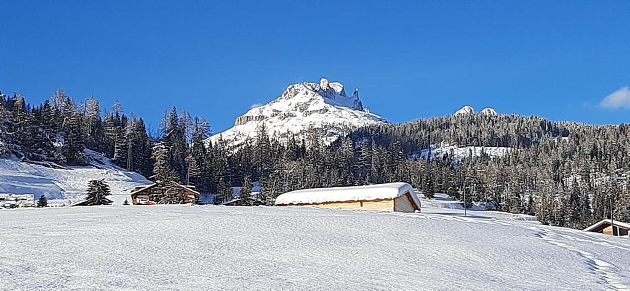 Garni Sayonara Otel Moena Dış mekan fotoğraf